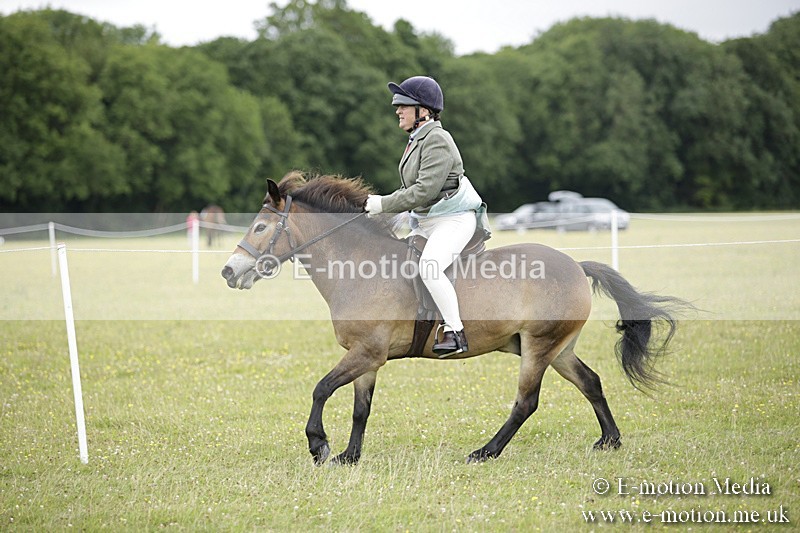 BVR160717-1310 - Ring 1 BVRC Show 16/07/17