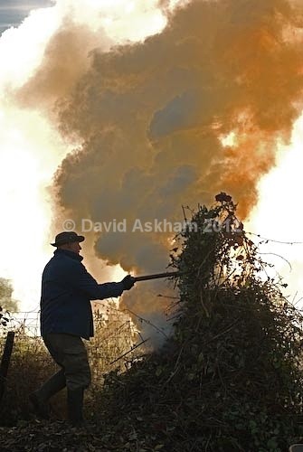 Bonfire - Autumn