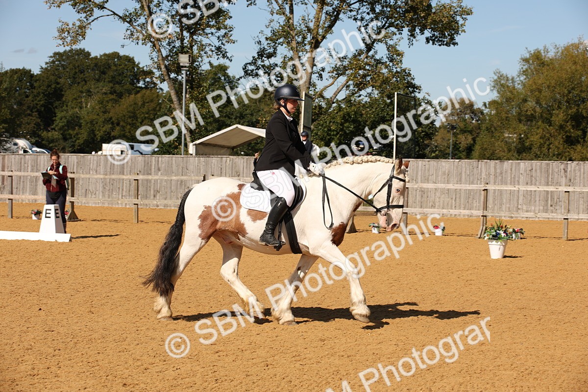 SBM_24182 - D5 - Small Tour Championship - Intro C