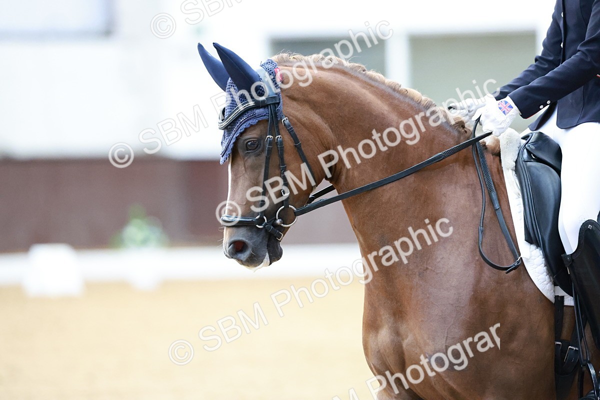 SBM_017177 - Class15 - FEI Pony