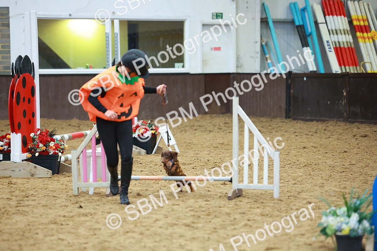 SBM_002199 - Class 3 - Horse & Hound (60cm)