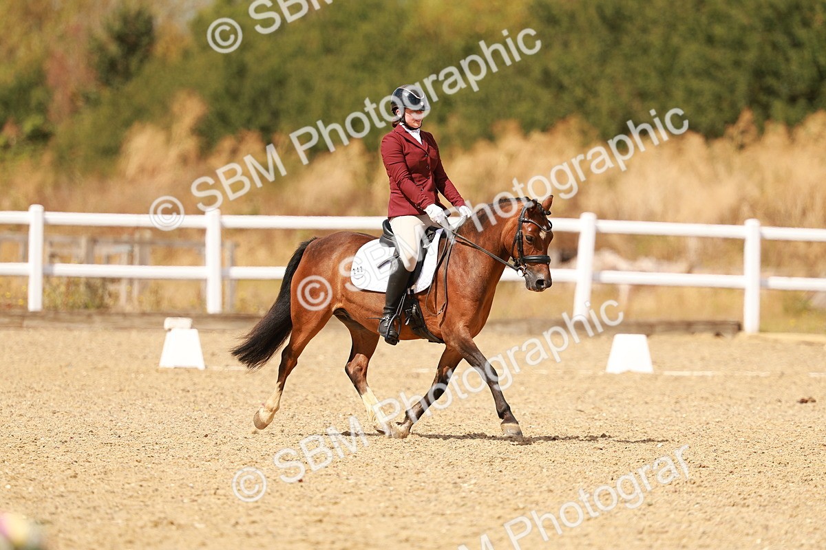 SBM_018637