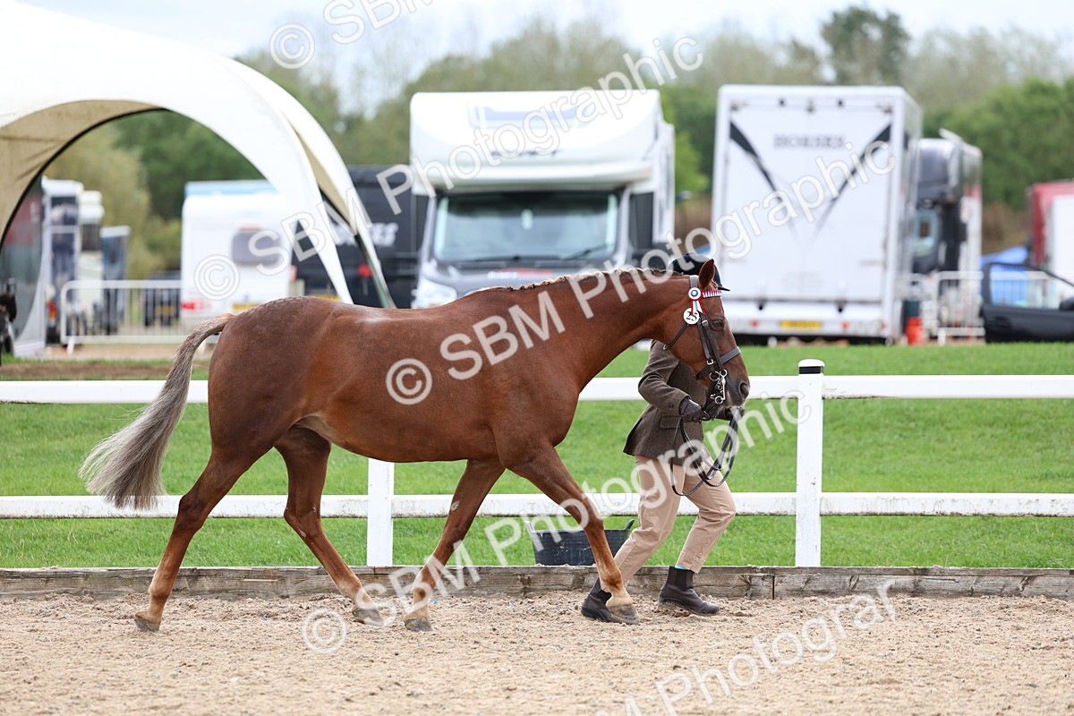 SBM_05841 - Class 29 - IH Veteran Pony
