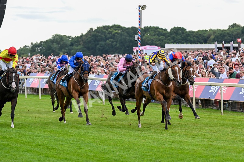 250726-Race 4-Dwindling Funds-0932 - Race 4 15.05pm Sky Bet For The Fans Handicap