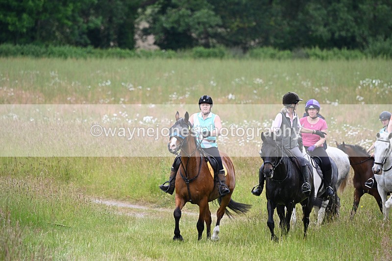 WJ6_8346 - Camera 1 Gallops