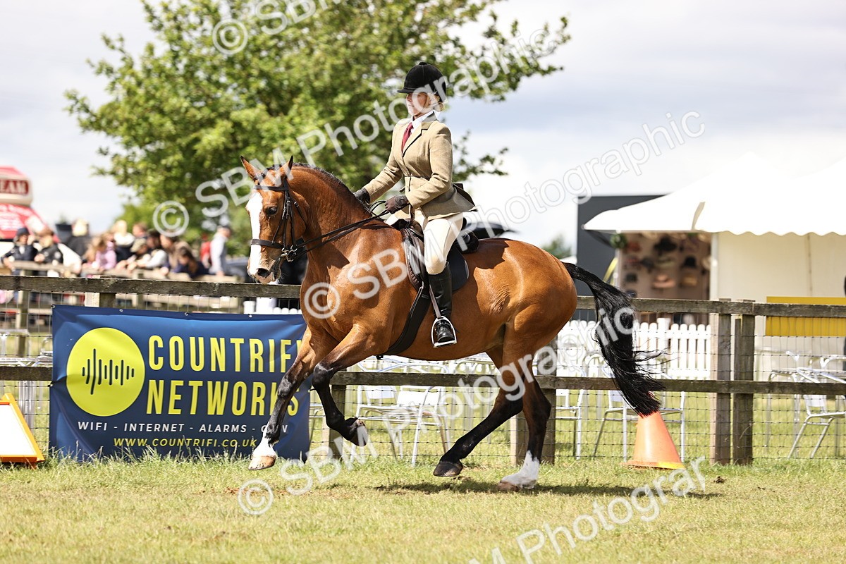SBM_14548 - Class 88-89 - LIHS BSHA Rising Star of Ridden Hunter Type