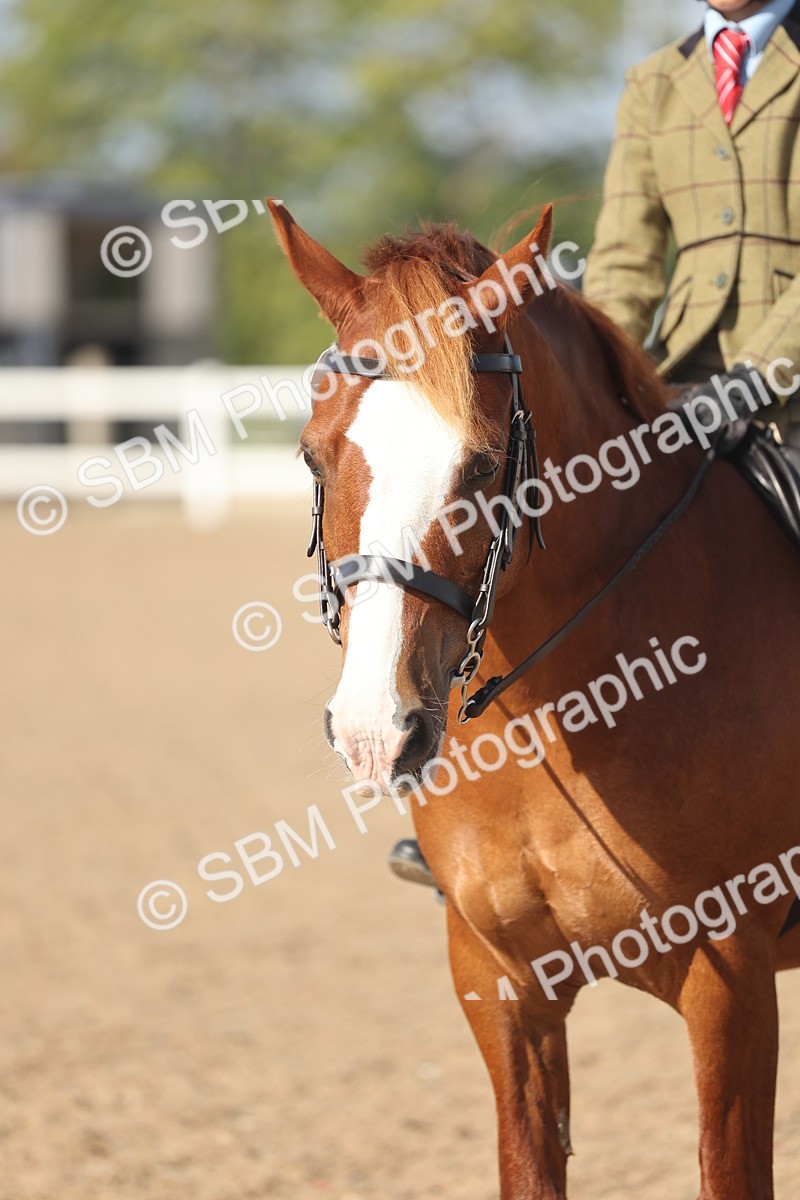 SBM_22631 - Class 804 - Ridden Veteran Pony