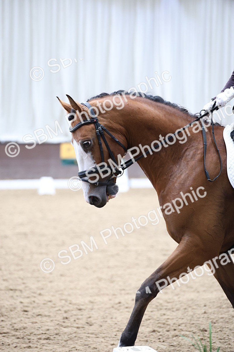 SBM_003214 - Class 5 - Novice 6 Gold - 11.41-12.51