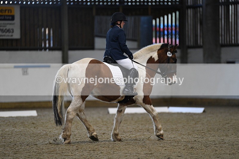 WJ5_7131 - Class 2 Intro Test 2