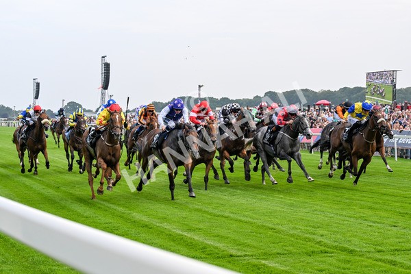 250725-Race 1-Pressures On - Quest For Fun-0214 - Race 1 5.30pm eventmasters.co.uk Handicap