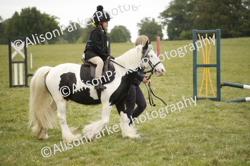 20250517-0214 - Class 1 - 30cm On Lead Rein
