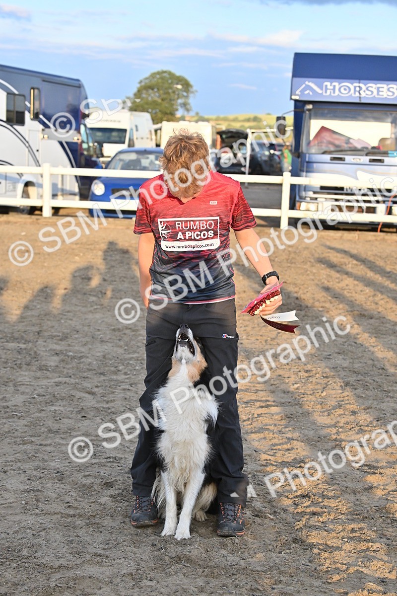 SBM_09719 - Lorry Dogs