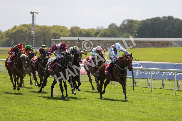 yr13052021r1-23 - Race 1 1.40pm The Matchbook Betting Exchange Stakes