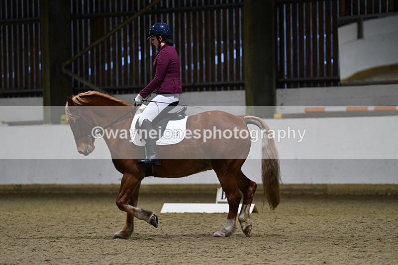 WJ5_8611 - Class 5 Novice Test 3