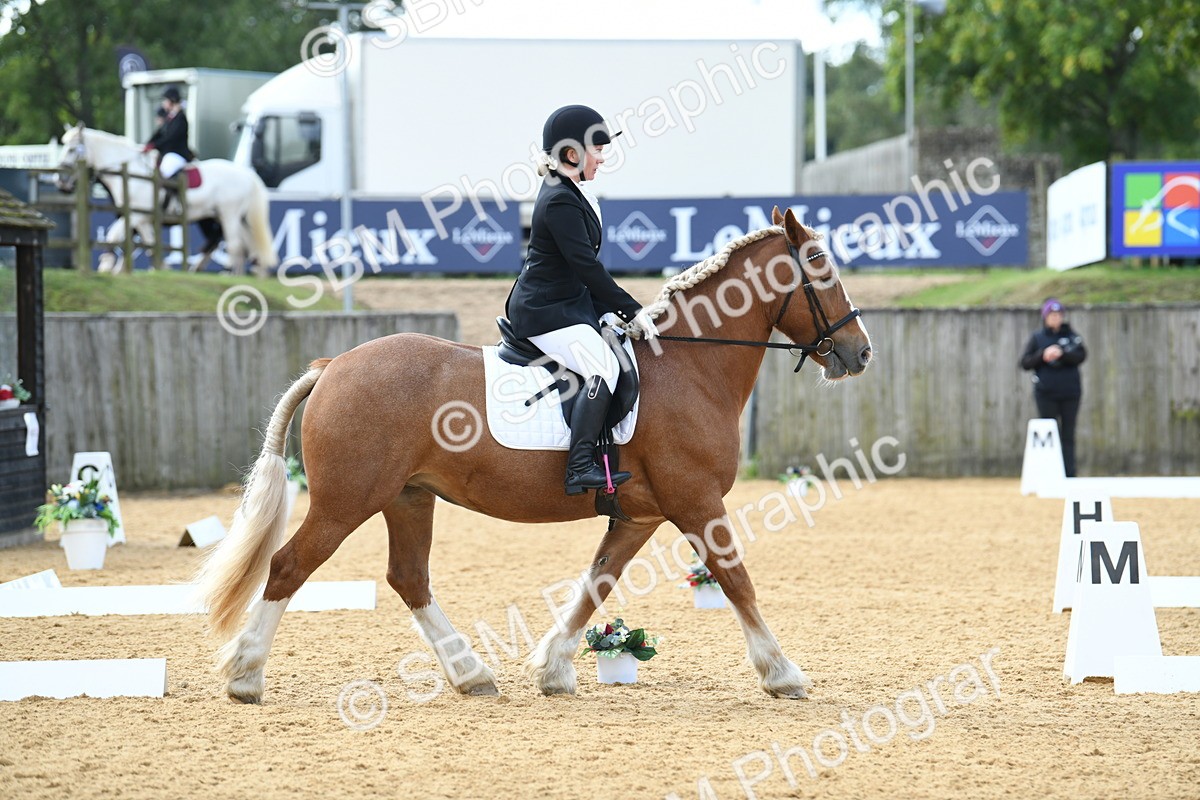 SBM_03087 - D7 Small Tour Championship Prelim 1