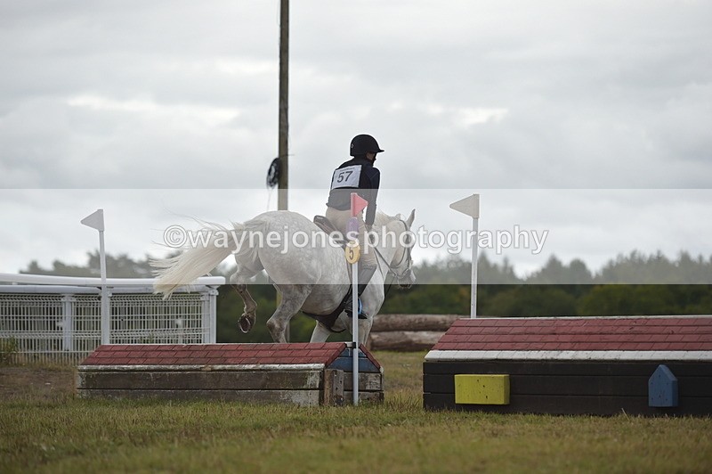 NGP_2249 - XC Time 11:20 to 11:36