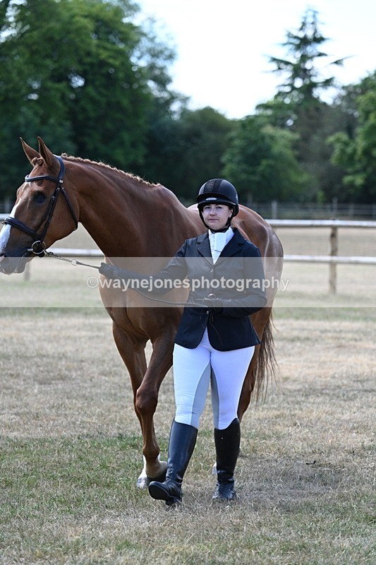 WJ7_2314 - Class 5a Most Handsome Gelding in hand (above 14.2hh)