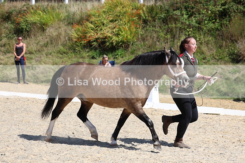 3E7A9687 - Class 32: Best Grass Kept