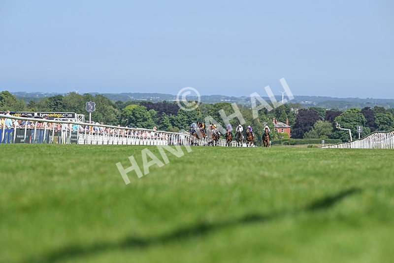 250624-Race 4-Lincoln Rockstar-9102 - Race 4