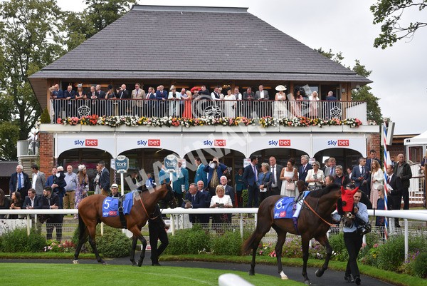 yr21082021r1-2 - Race 1 1.50pm Sky Bet & Symphony Group Strensall Stakes