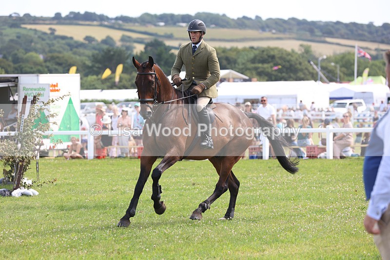 JPP_3763 - Class 23: Working Hunter 80cm