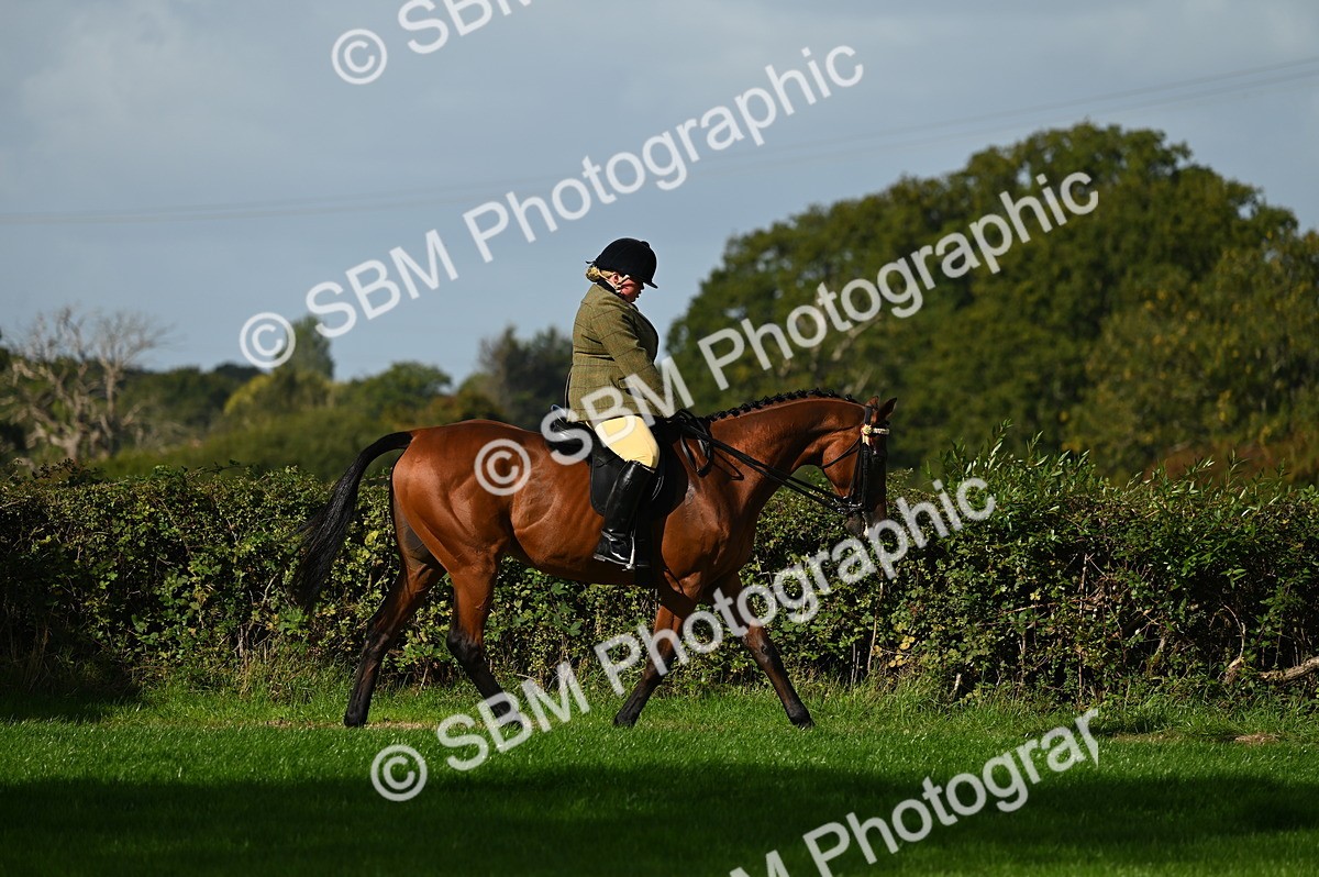 SBM_01327 - S2 - TSR Ridden Horse Showing