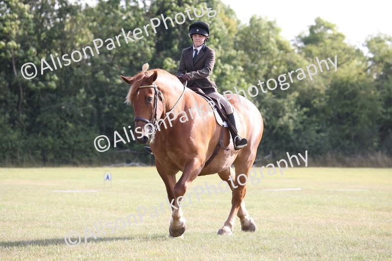 20250731-0571 - Class 1 - Intro 4