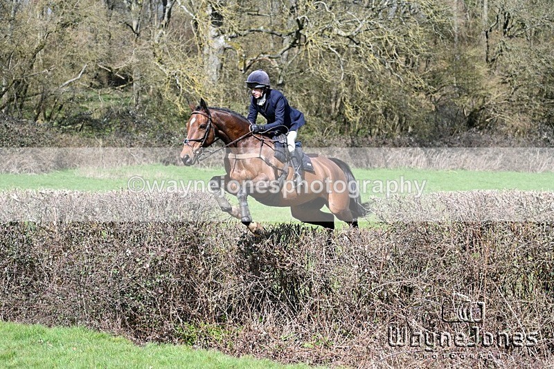 WJ7_6688 - Edited examples