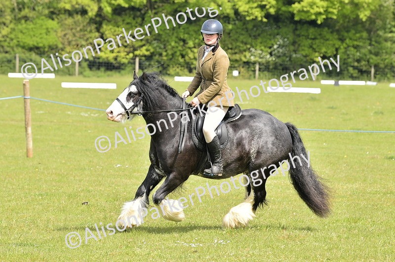 20260426-2335 - Class 20 - Beginner Working Hunter