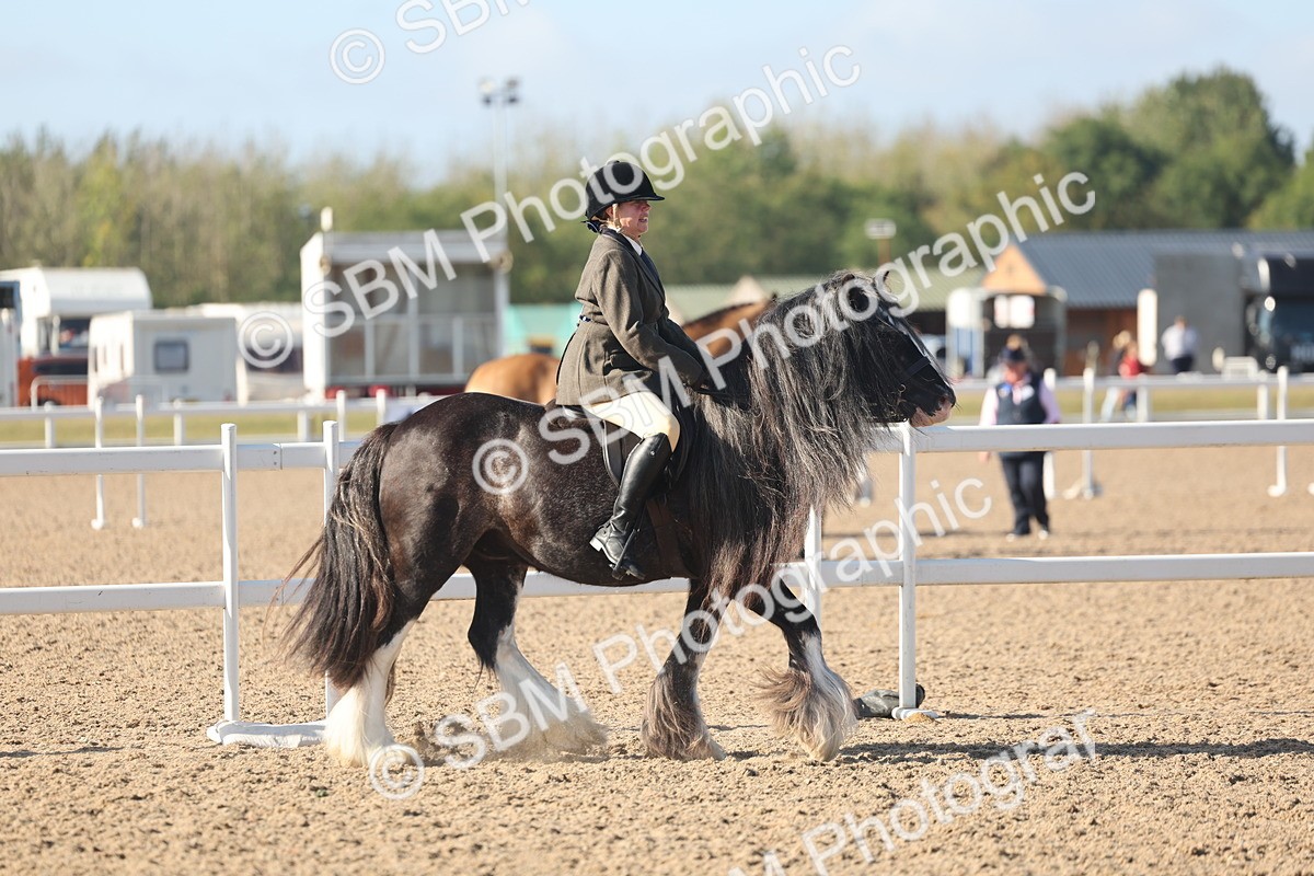 SBM_22192 - Class 802 - Ridden Groom Helpers Class