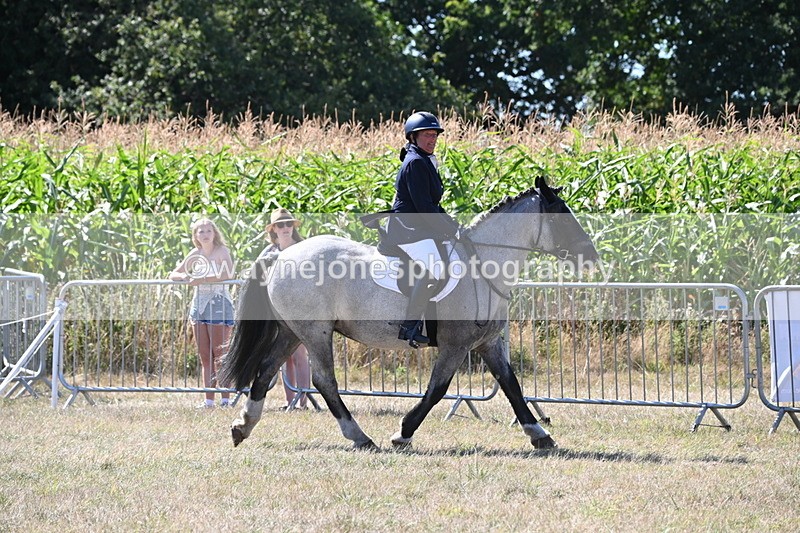 WJ6_8909 - Class 38 Ridden Riding Horse/Pony