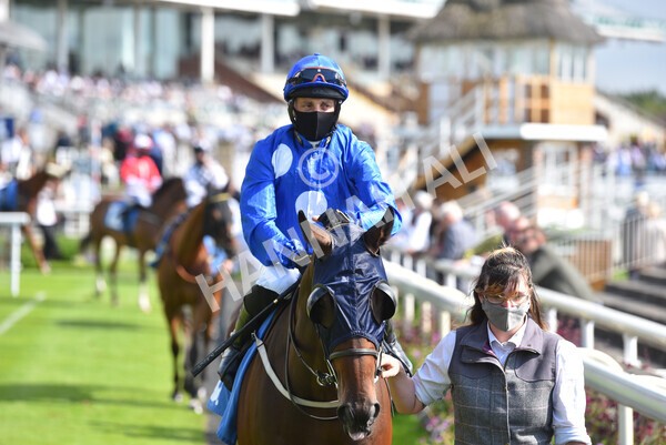 yr09072021r5-25 - Race 5: 4.20pm Garbutt + Elliott Stakes