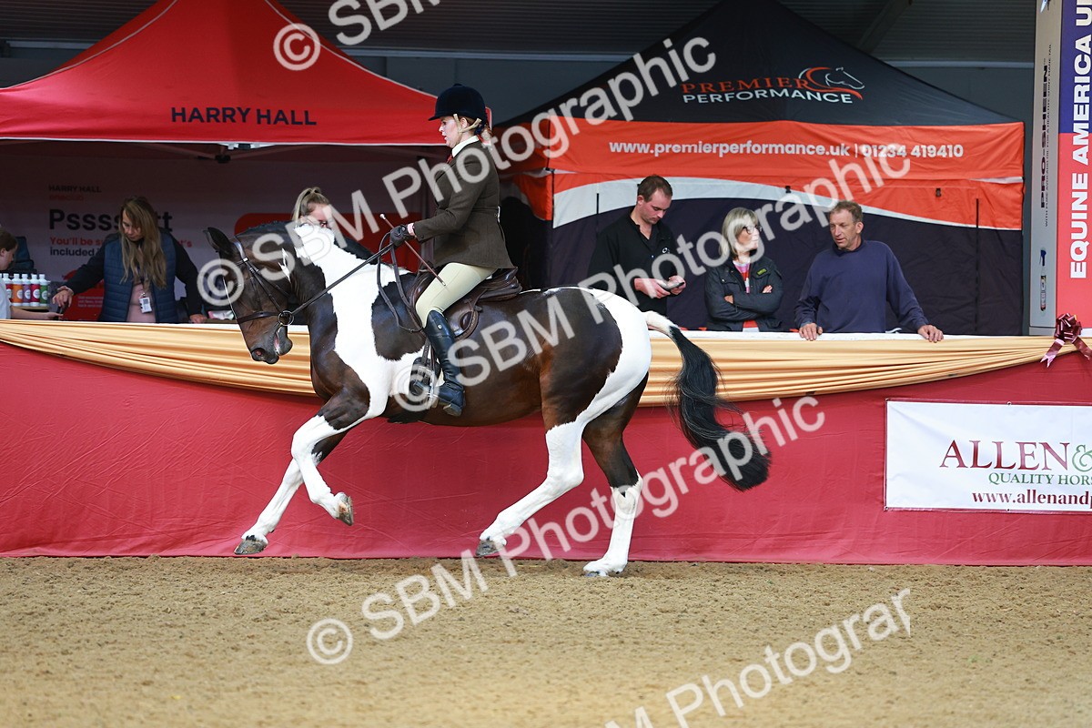 SBM_09771 - Class 102 - HOYS Veteran Qualifier - Ridden Veteran