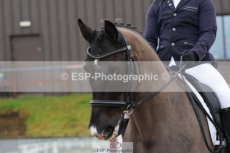 260215-124019-06414 - 129-Theo.Funnell