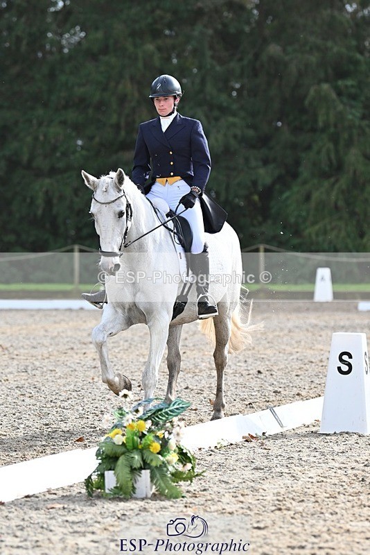 231019-144457-04593 - 126-DERRYS.LADY.LOU-Debbie.Townsend-DR