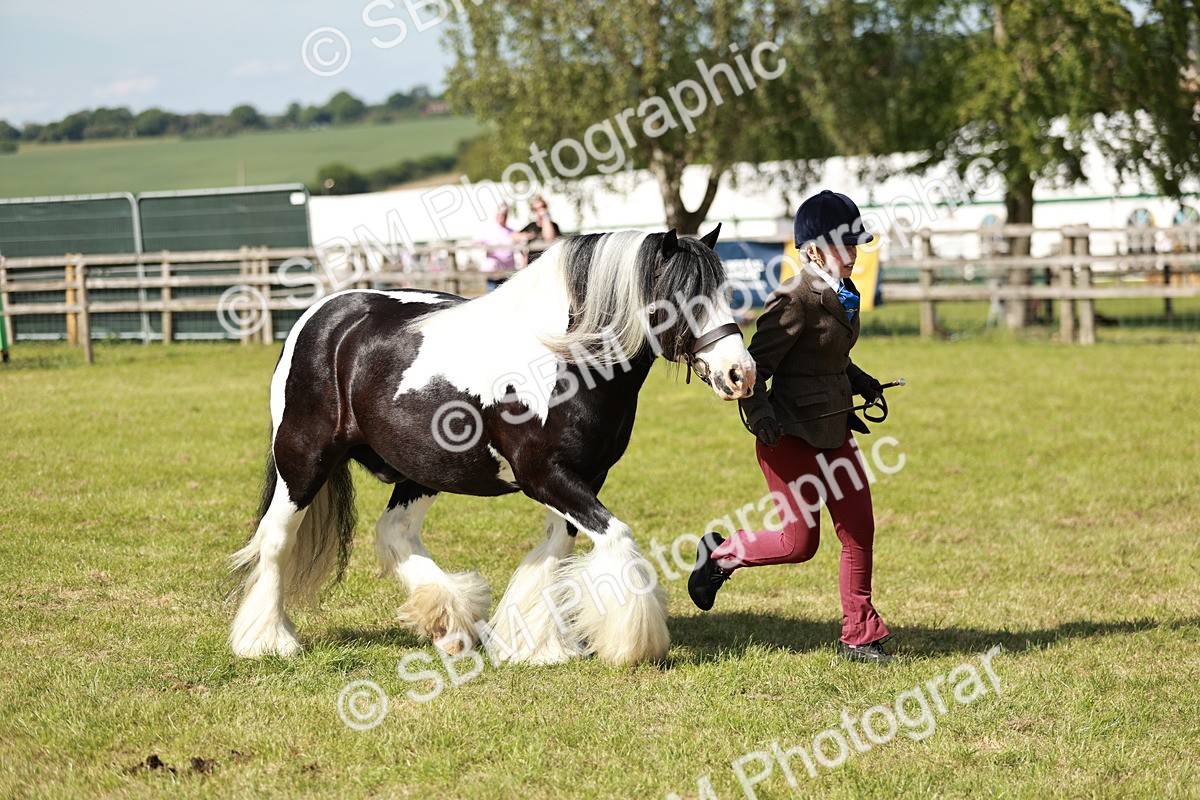 SBM_08832 - Class 63-65 - Traditional Gypsy Cobs In Hand & Ridden