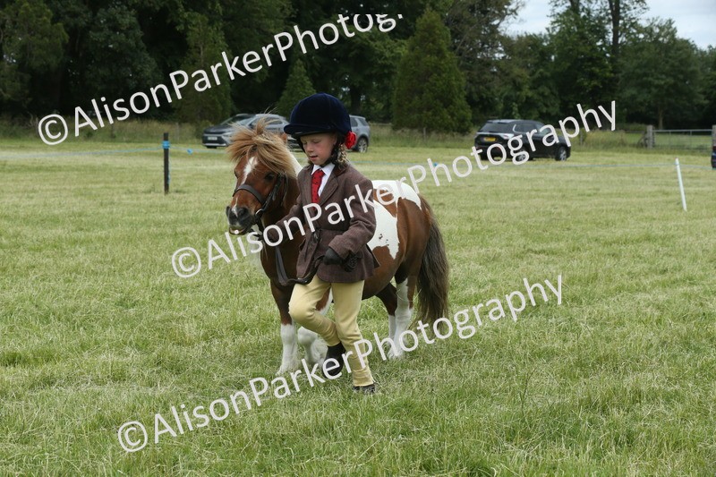 20260614-4298 - Class 18 - Best Junior Handler