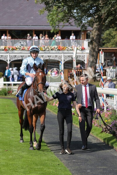 yr05092021r1-31 - Race 1 2.10pm IRE-Incentive It Pays To Buy Irish ebfstallions.com Novice Stakes