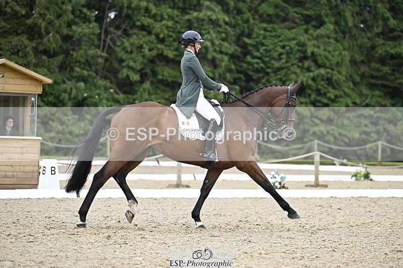 000101-212625-04305 - 412-WELLFIELDS_LINCOLN-Susie_Berry