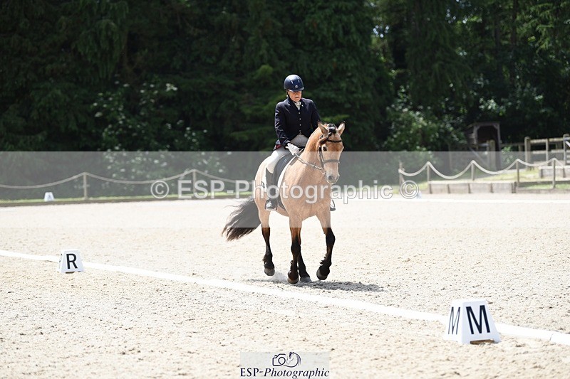 240605-124518-00951 - Cls 4 Novice 37 SQ