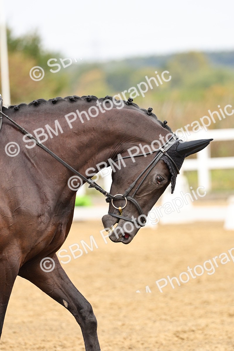 SBM_012251 - Class 2 - Prelim 5