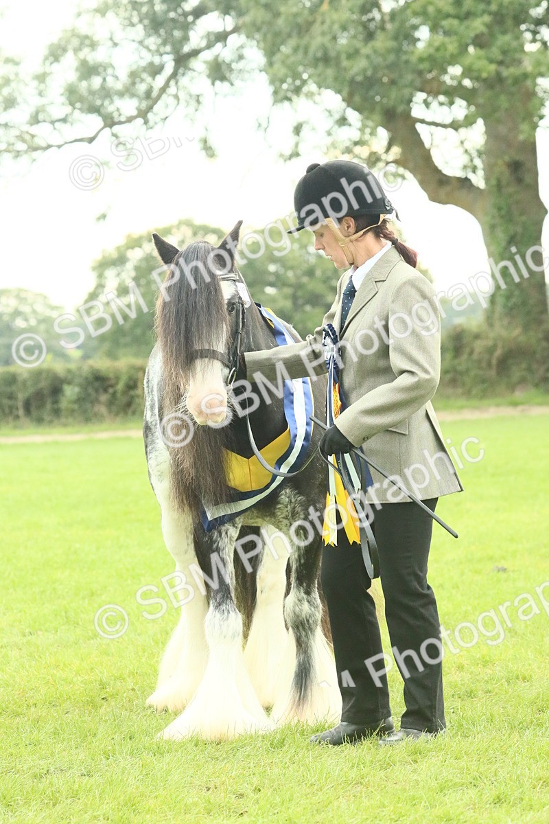 SBM_75175 - Super Supreme Championship