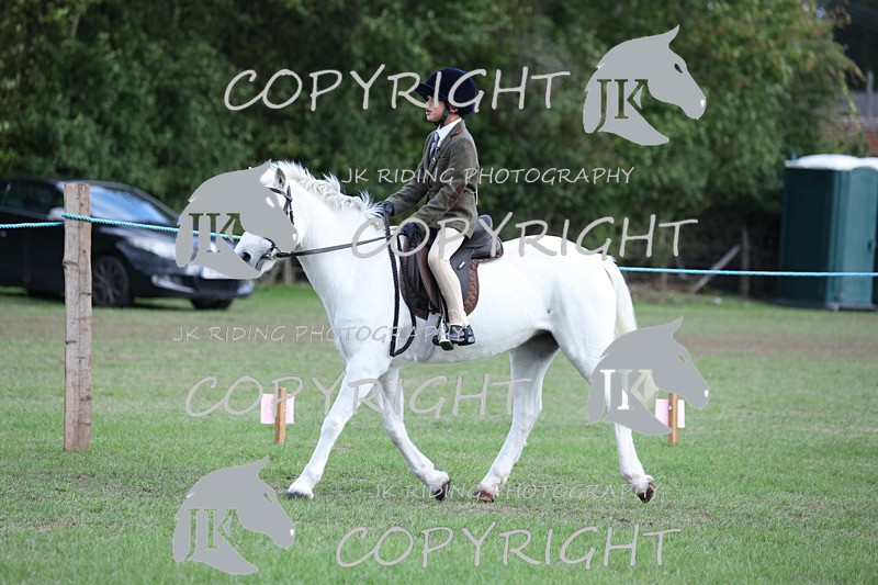 APP_4149 - Class 15a/b Pony club pony/Riding club horse
