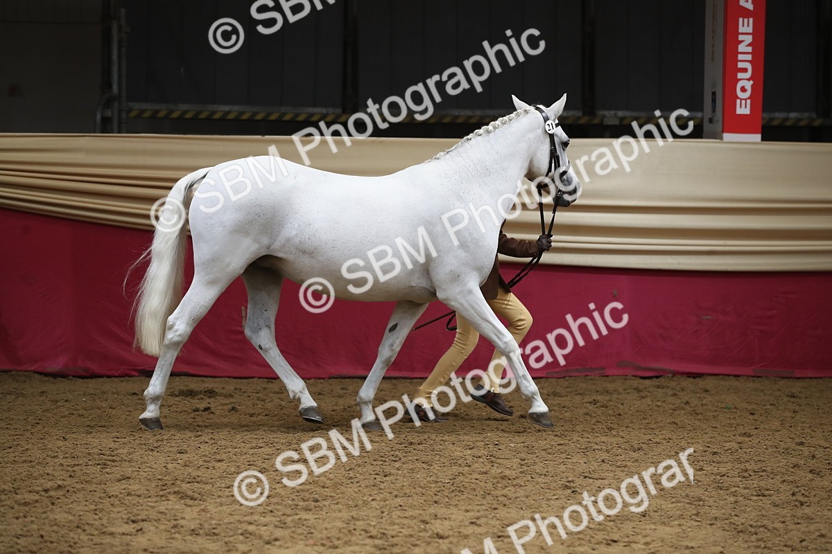 SBM_05269 - Class 8R - Regional IH Veteran