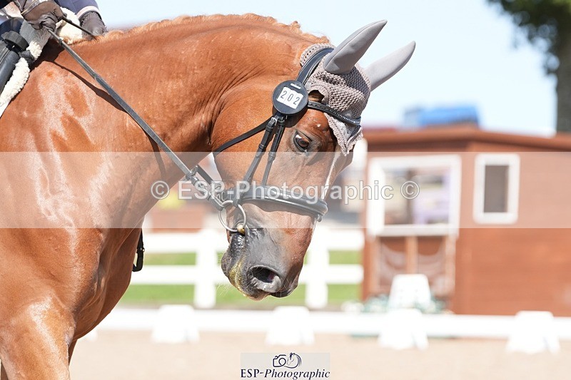 250817-151651-11170 - 202-Lisa.TorodeJe.Ne.Sais.Quoi