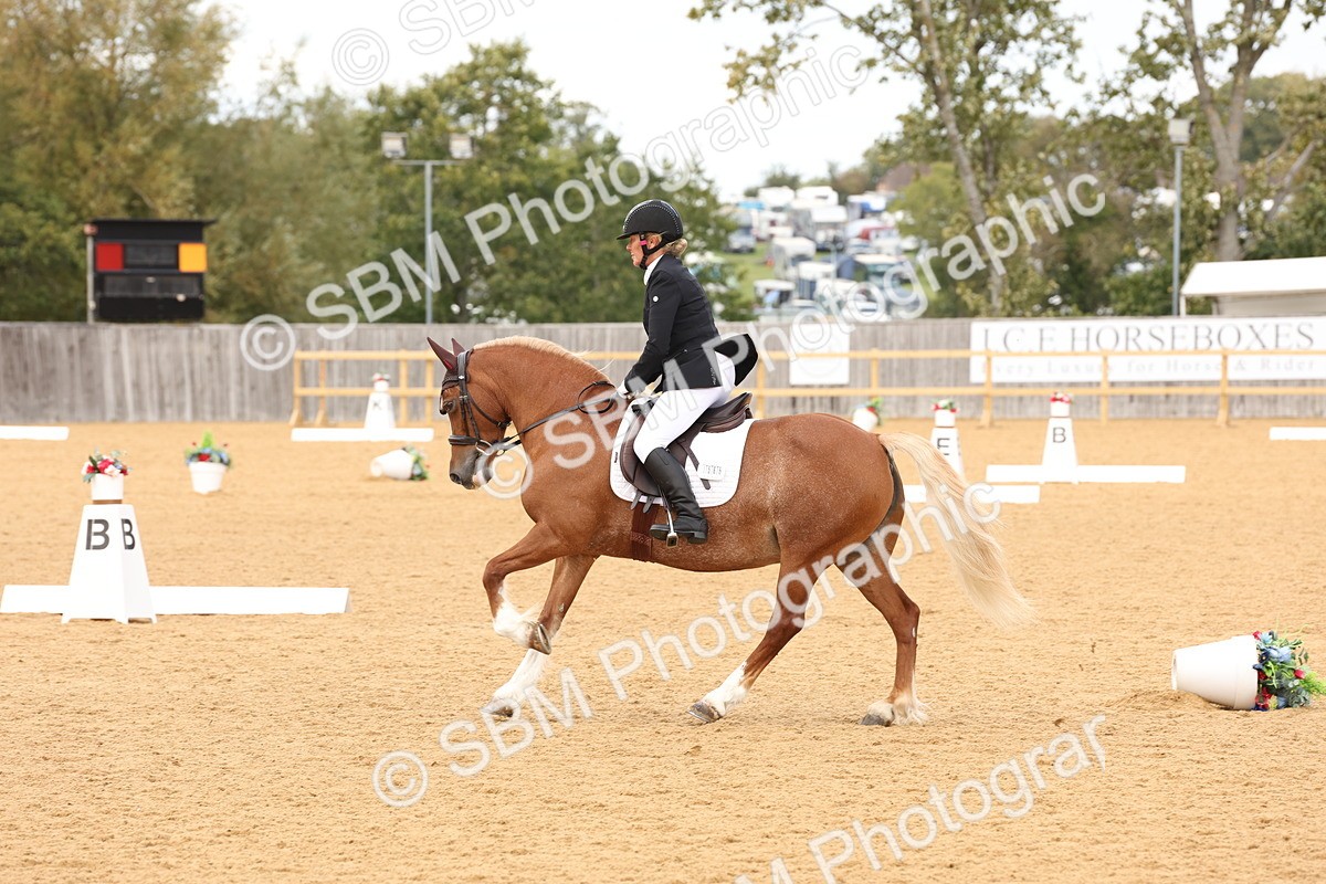 SBM_19518 - D10 - Small Tour Championship Prelim 2