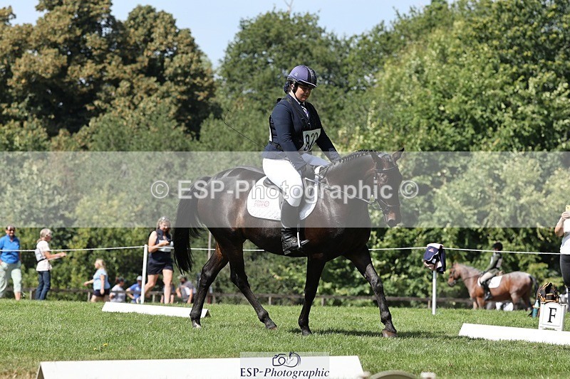 250823A-131240-31259 - Arena D