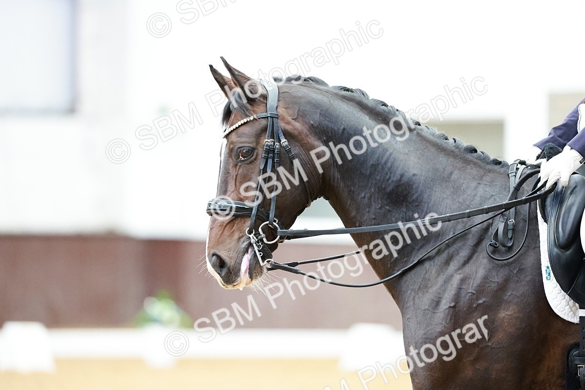 SBM_013643 - Class 3 - FEI PSG - 12.03-13.07