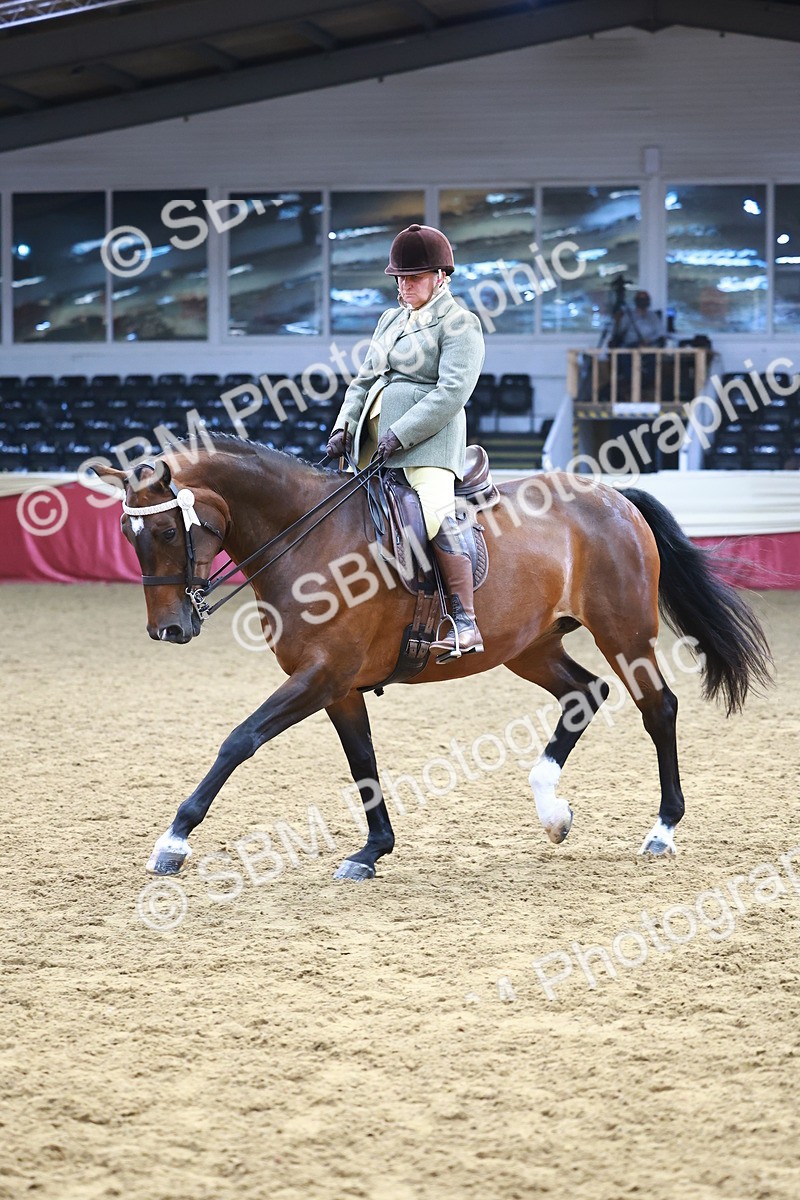 SBM_23378 - class 906 - Supreme Final - Ridden Pre Vet