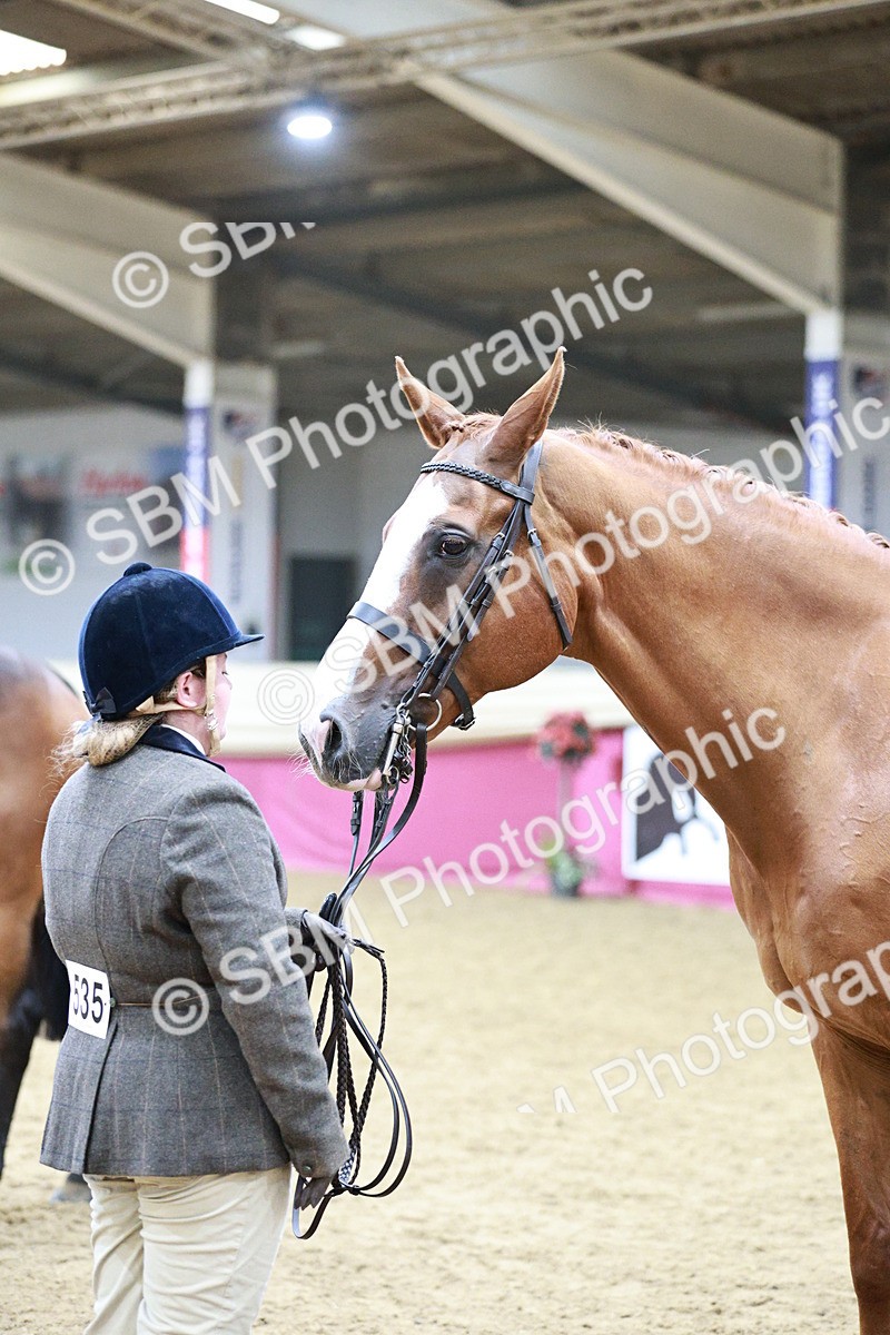 SBM_06647 - Regional - IH Champs